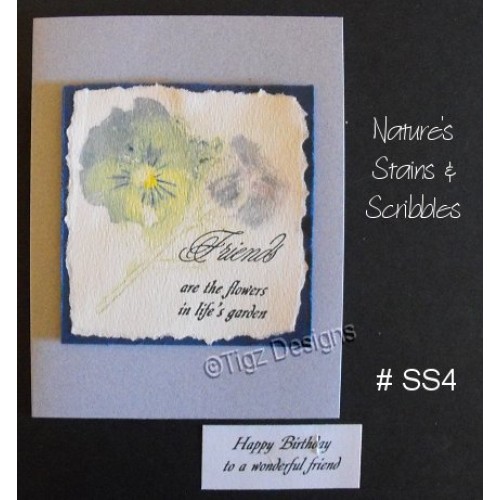 Nature's Stains & Scribbles Greeting Cards - SS4